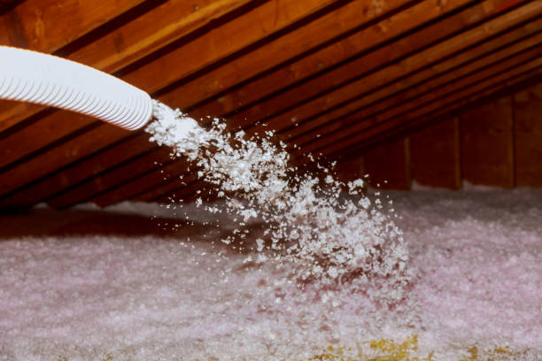 Best Specialized Insulation Services in Huntley, IL