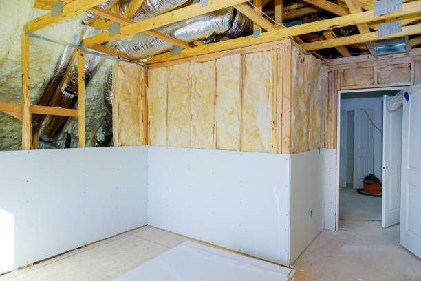 Best Insulation Maintenance and Repair in Huntley, IL