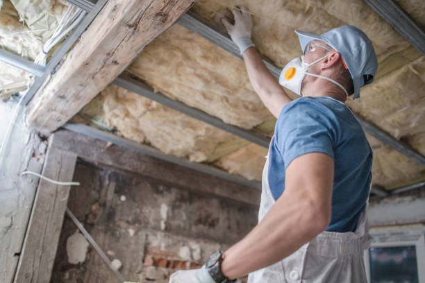 Best DIY Insulation Kits and Guidance in Huntley, IL